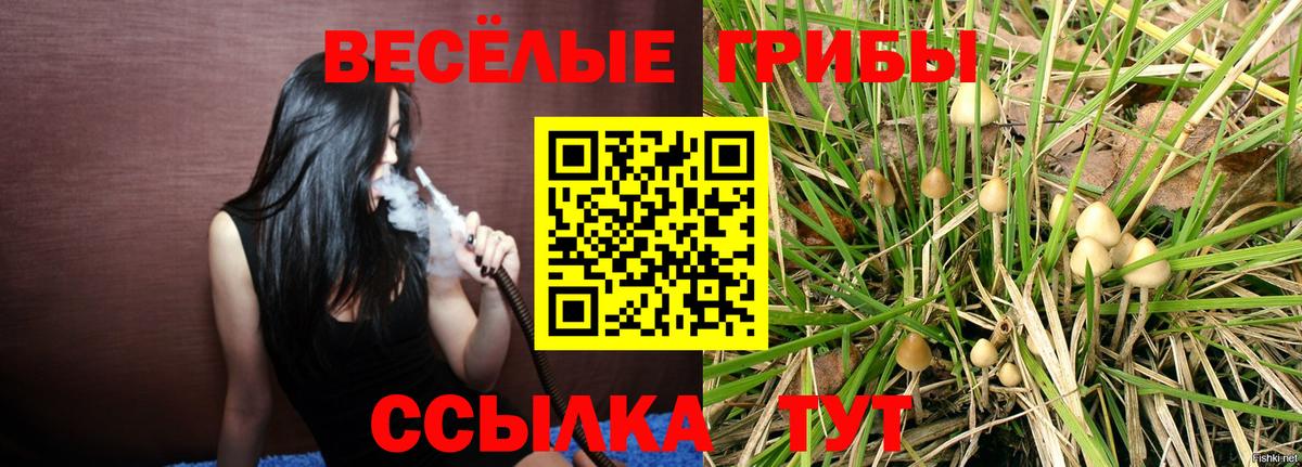 дарнет шоп  Усть-Кут  Псилоцибиновые грибы мицелий  Галлюциногенные грибы Psilocybe 