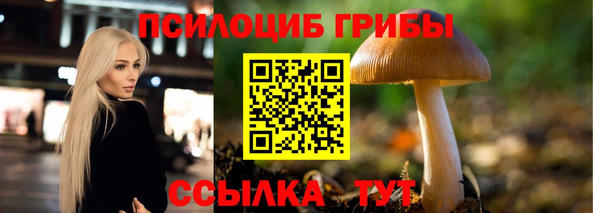 Галлюциногенные грибы прущие грибы Усть-Кут