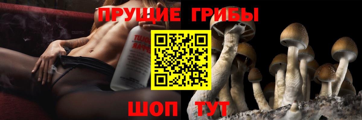 Псилоцибиновые грибы мицелий  Вход с VPN  Усть-Кут 